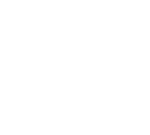 Vamos Academy Logo white