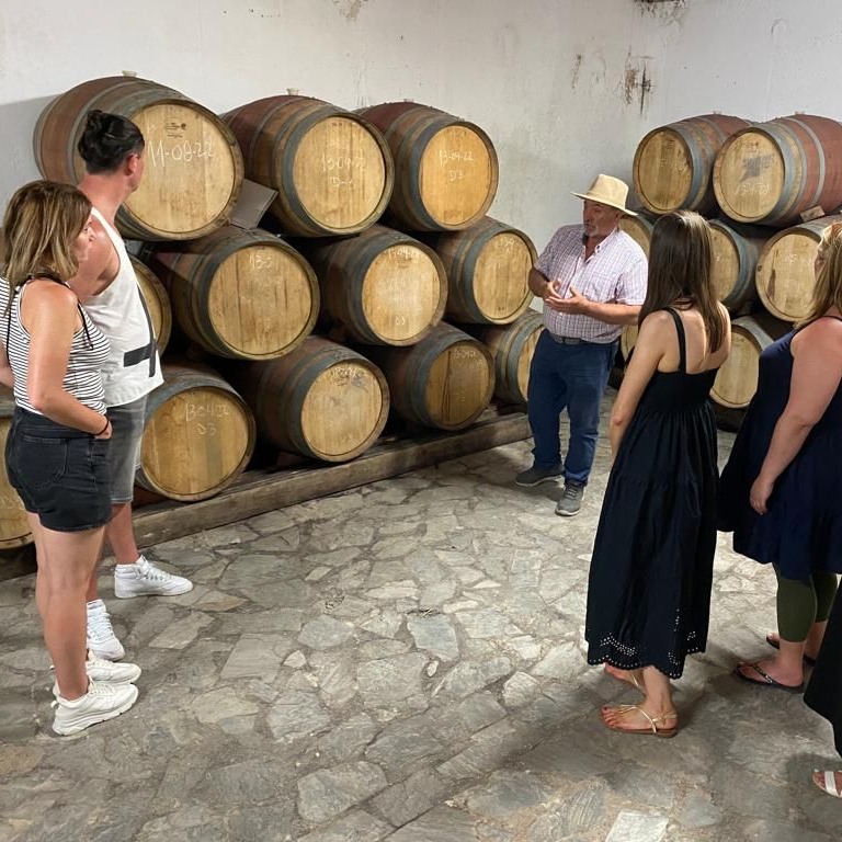 Rootz Wine Tours: Your Guide to Wine Tasting in Costa del Sol