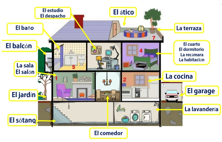 Parts Of The House In Spanish Simple