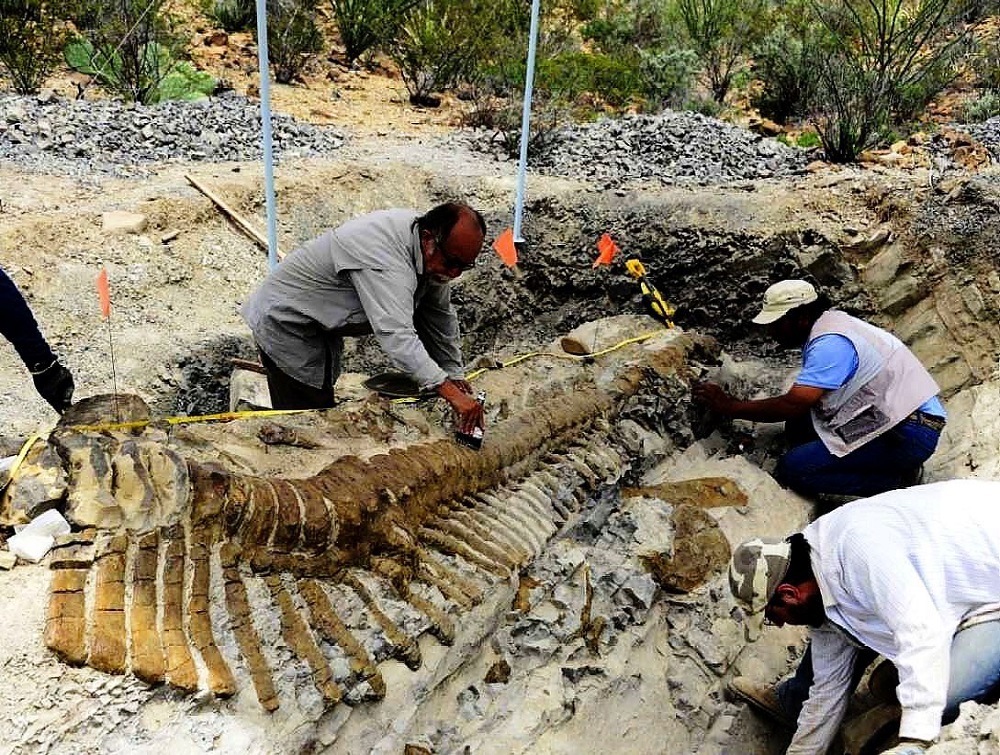 A fossil excavation, showing what children will feel like at Dinópolis.