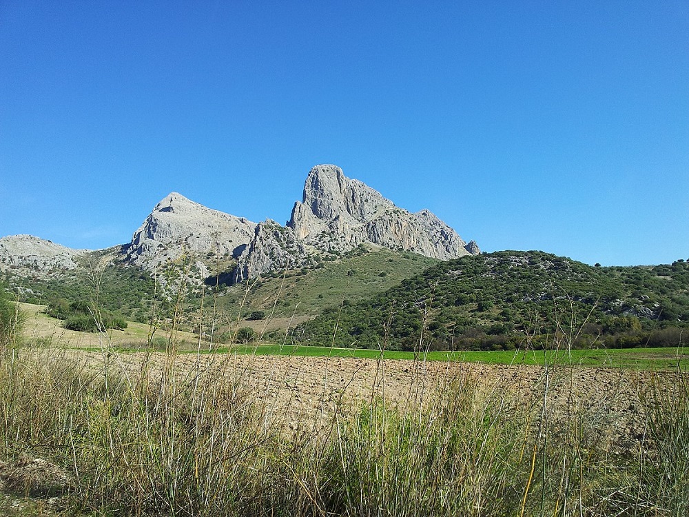 An image of the Camarolos mountains, where the guadalmedina river begins