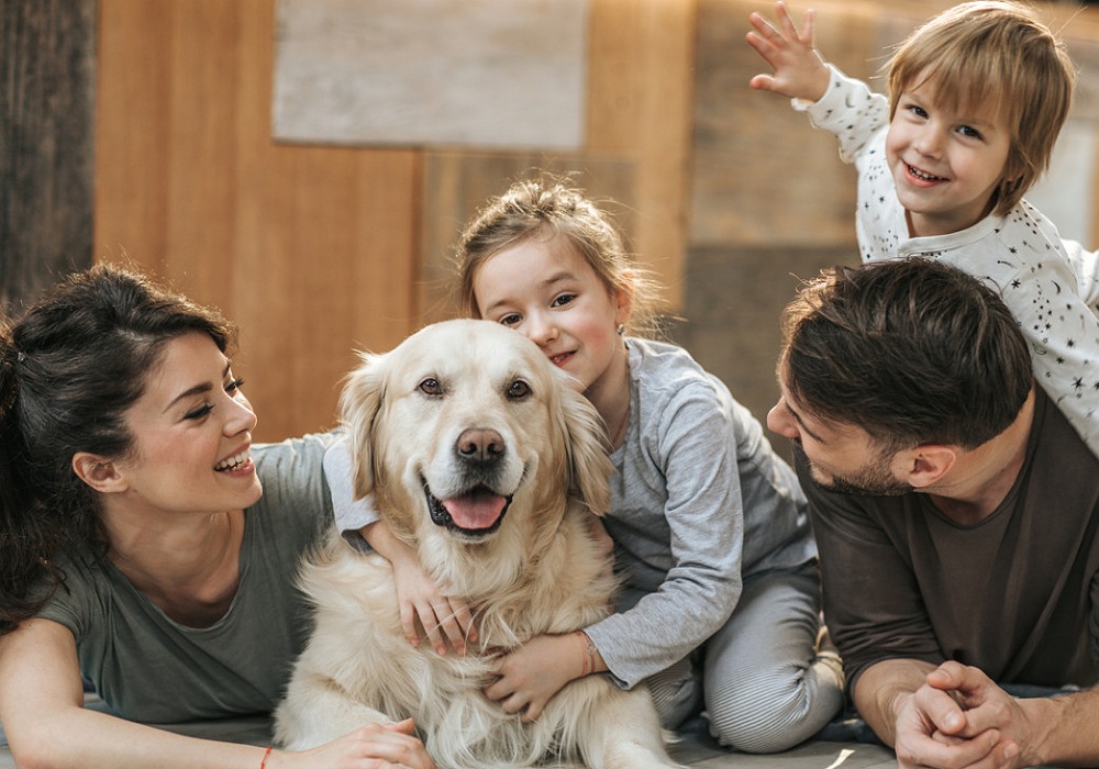 A happy family with their recently adopted dog. Pet adoption brings happiness.