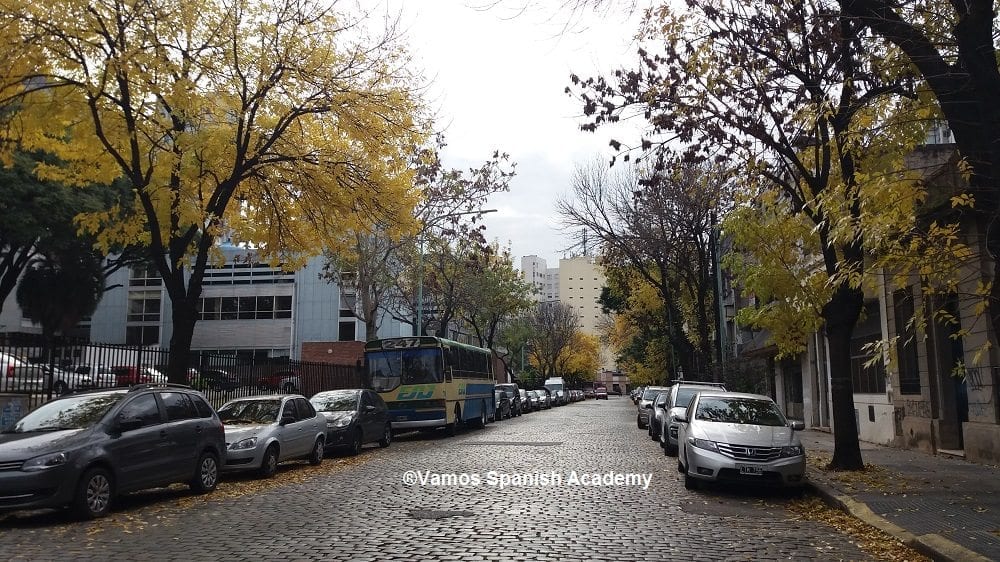 My tree lined street in Caballito