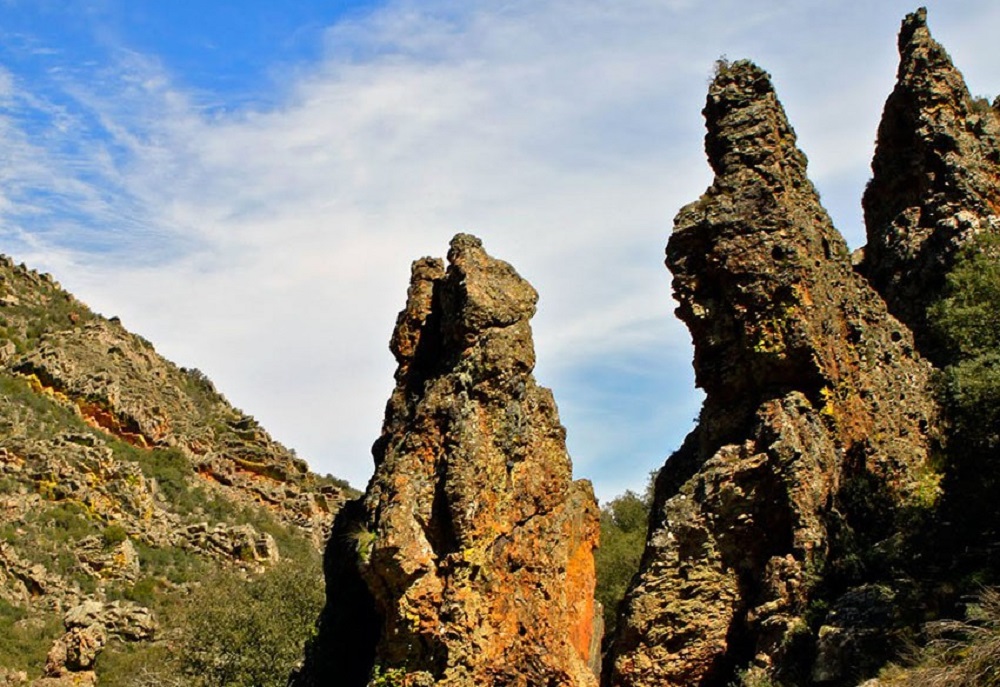 Exploring the Natural Beauty of Spain: National Parks and Reserves ...