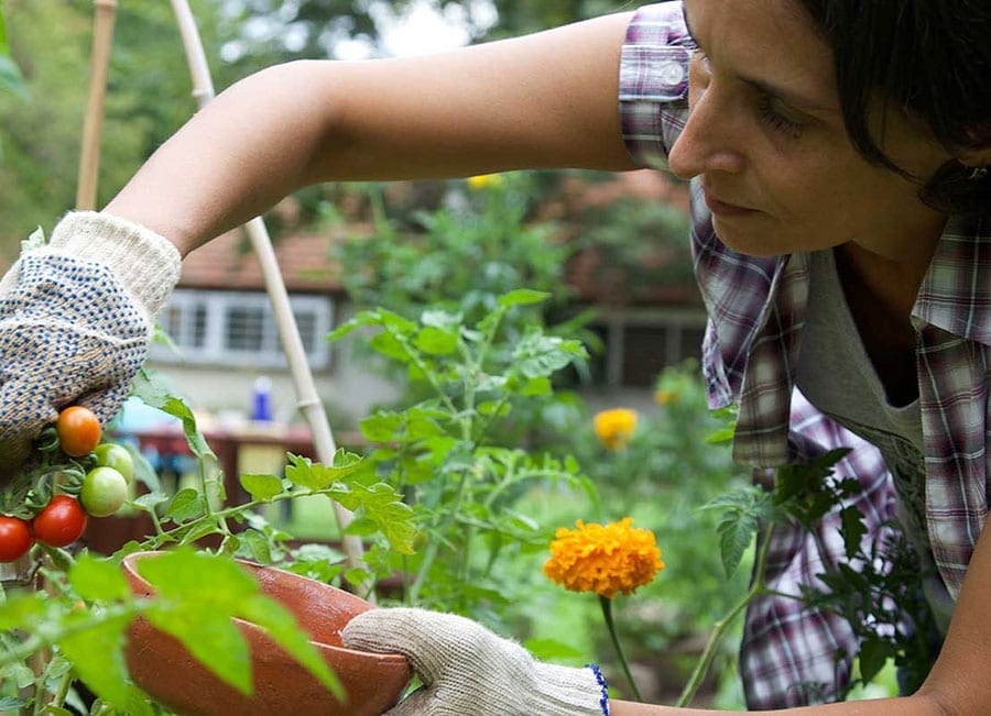 Woman volunteering on organic farm argentina