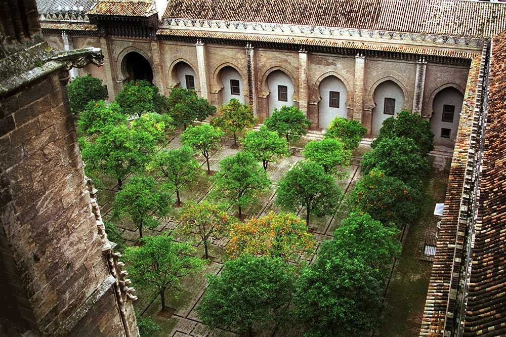 An image of The Patio de los Naranjos in the middle of the Sevilla Cathedral