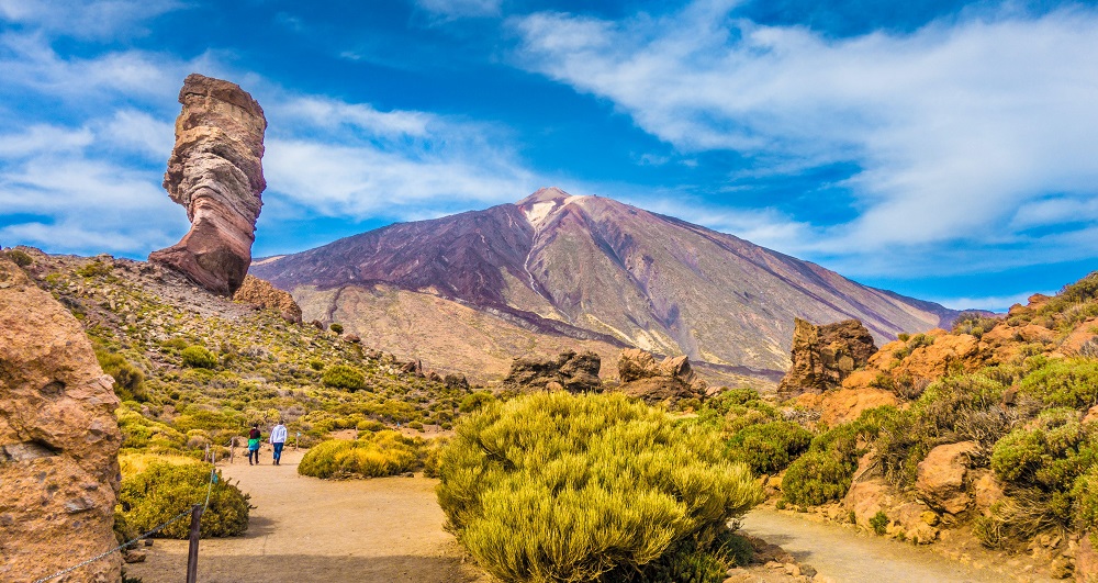 A pic of the Teide National Park, where you can see the mountains and plants.