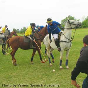 polo players on horses