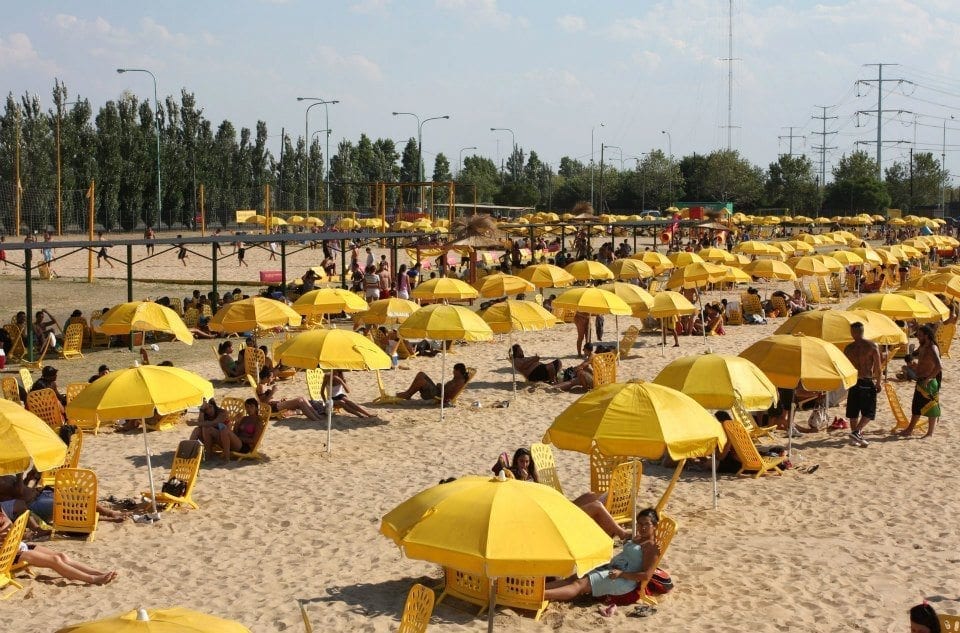 yellow beach umbrellas