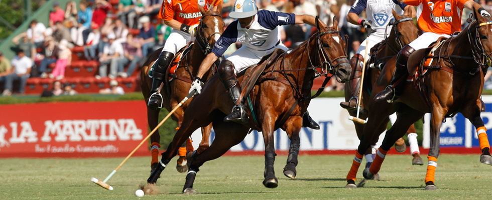 Polo in buenos aires
