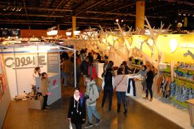 design fair 2013