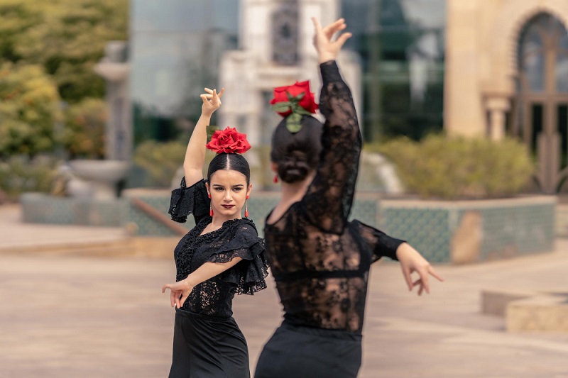 flamenco story