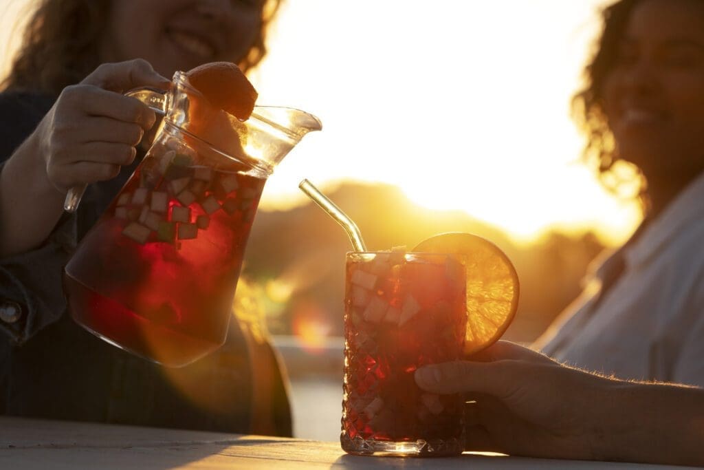  Refreshing Tinto de Verano glasses with citrus garnish, embodying the essence of Spanish summer.