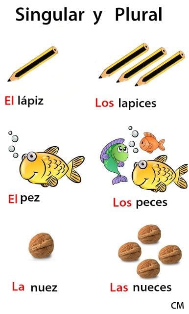 homeworks plural in spanish