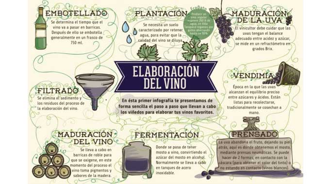 wine infograph